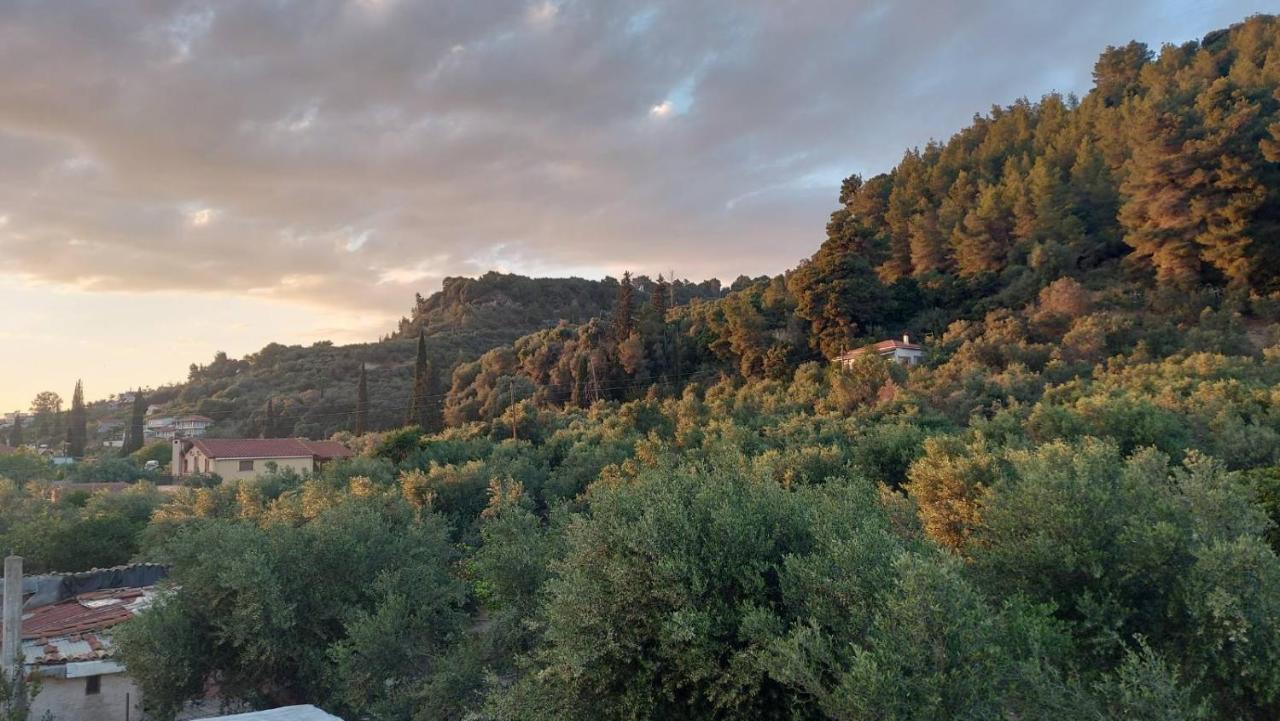 Homonatura. Sense Of Native Living. Pírgos Exterior foto